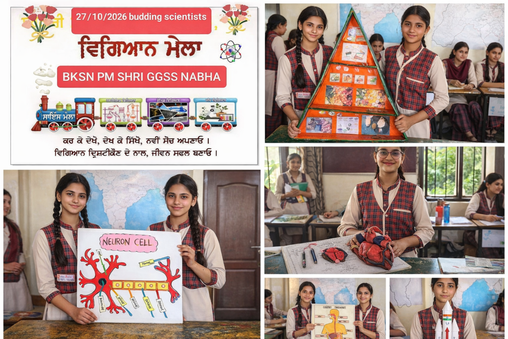 govt girl school nabha